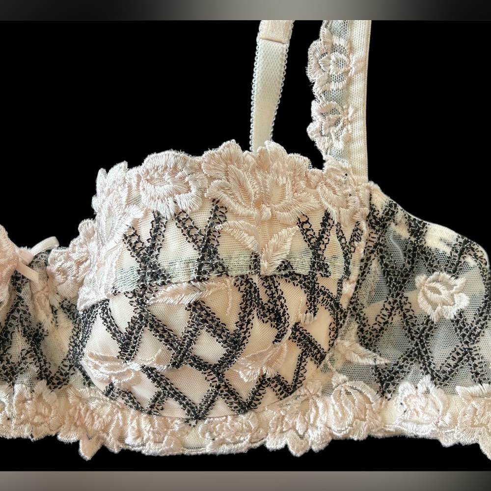 Lise Charmel Vintage Lace Floral Embroidery Demi Bra 34B France Couture - Picture 4 of 13